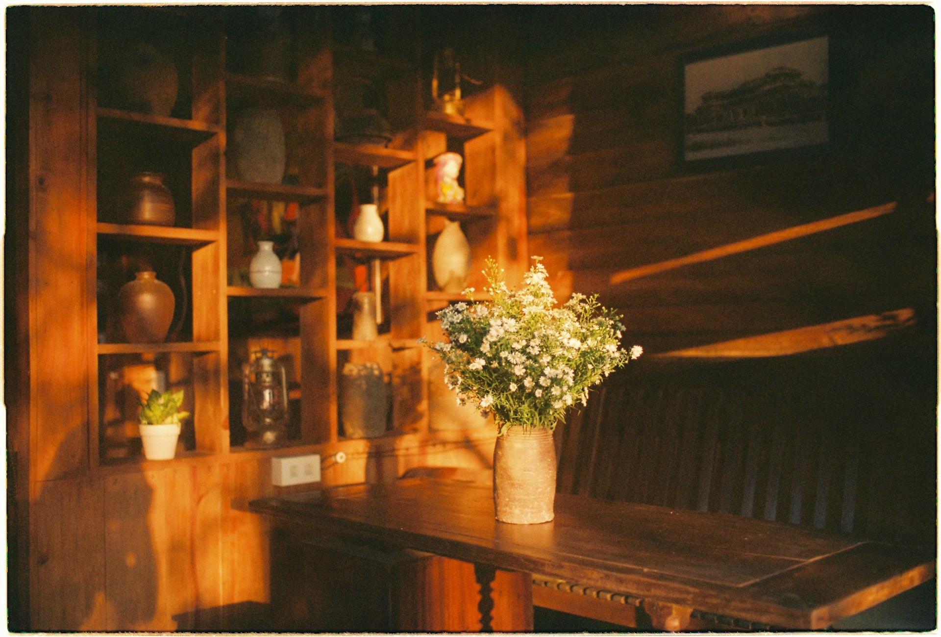 Vyyy dg y2zxde7f9gm unsplash